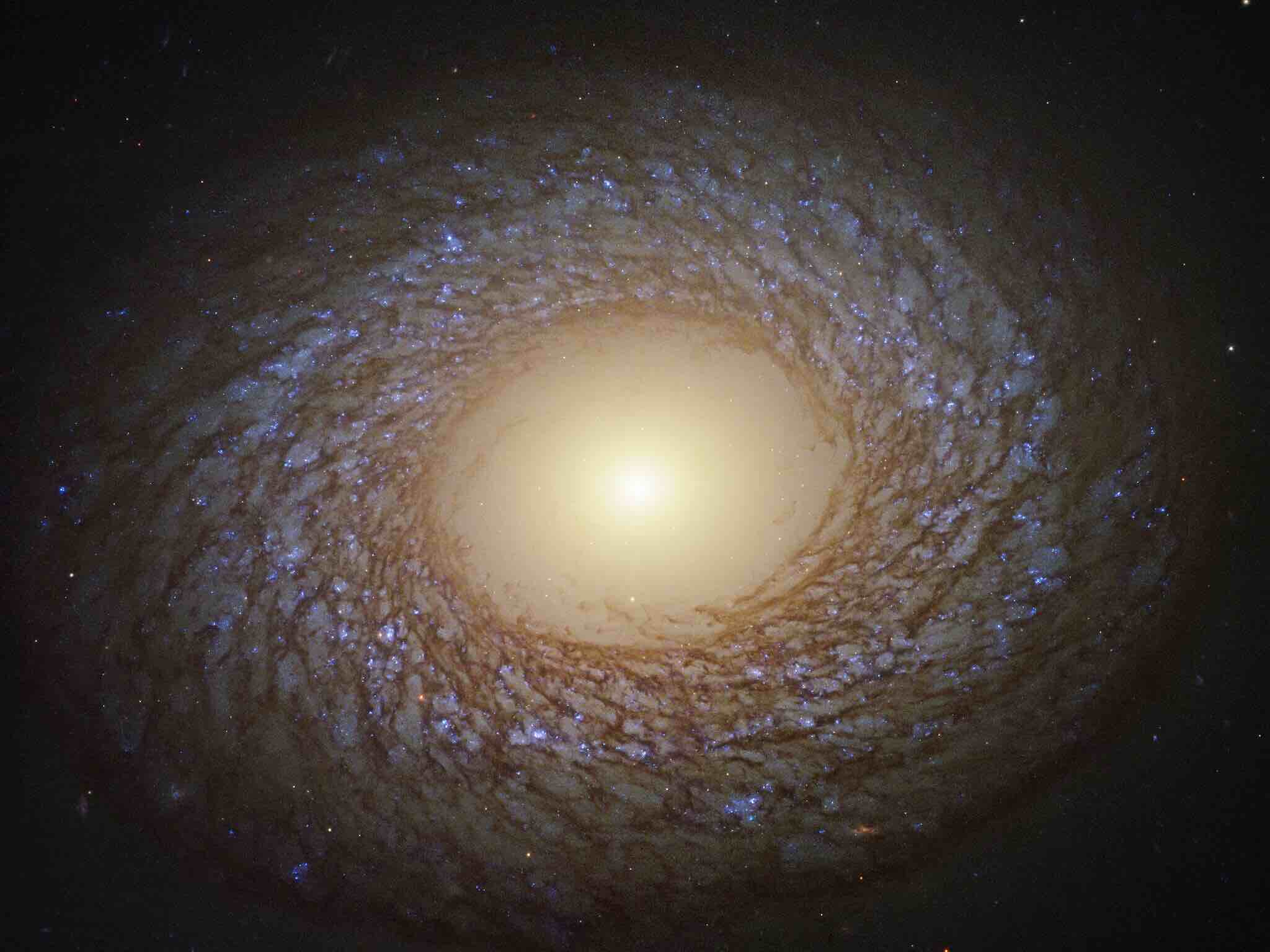 Hubble Space Telescope Spots Feathered Spiral Galaxy NGC 7513 In Deep Space 